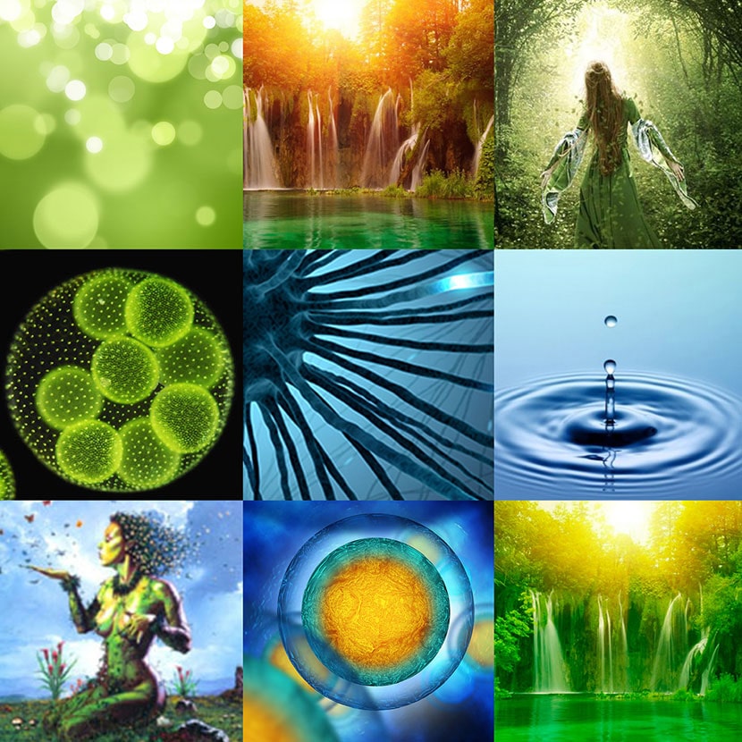 Face - Color palette & structural meaning into logo design