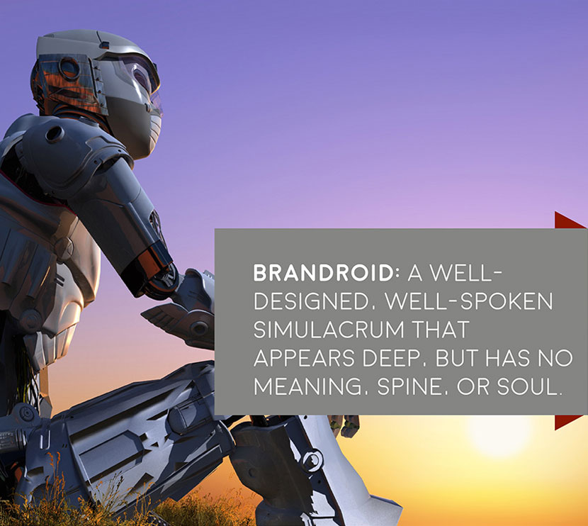 Logo & Name - The Brandroid