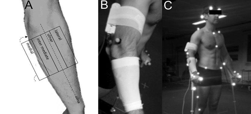 Neo - Insights from user study & ethnography