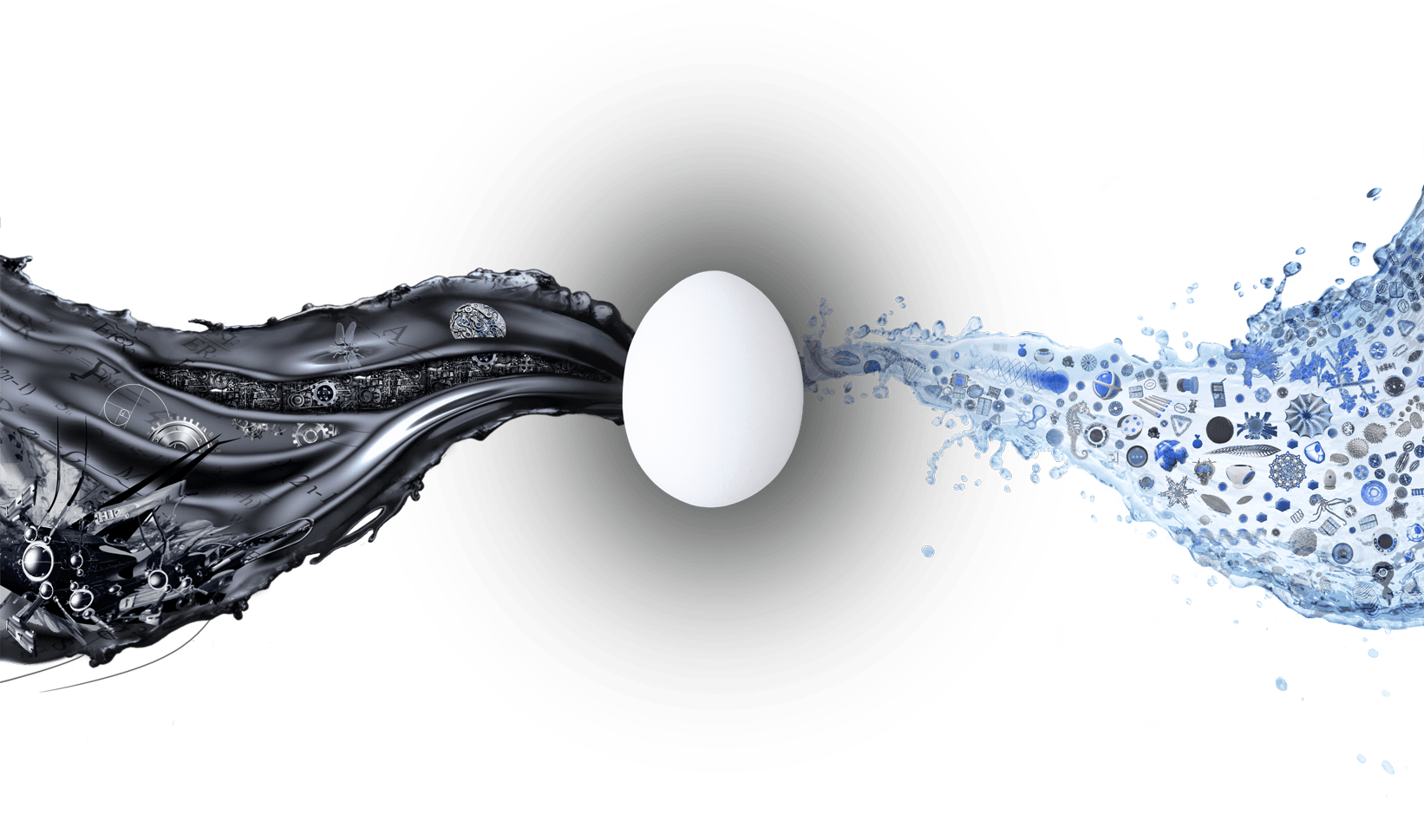 Egg Design